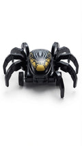 Spider Robot Toy
