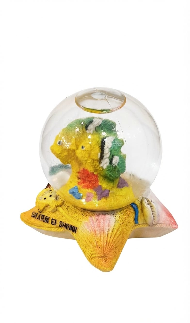 Sharm El Sheikh Souvenir Snow Globe Figurine with Fish and Sea Shell Base